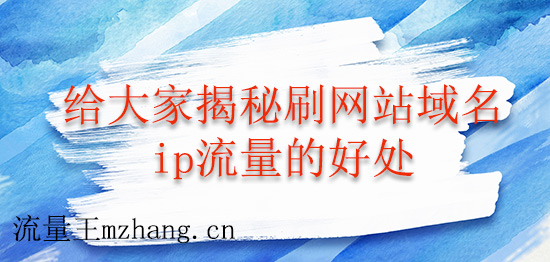 给大家揭秘刷网站域名ip流量的好处